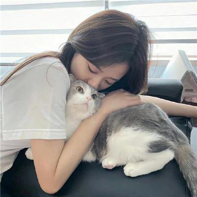 剧集综艺